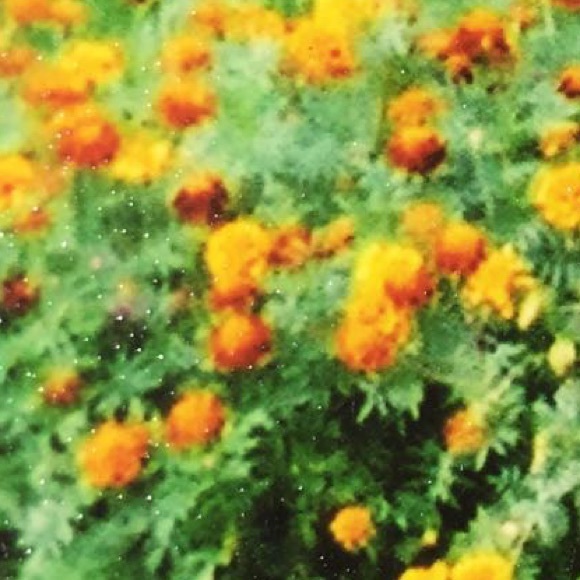 Meet your Posher, Rexha - Picture 1 of 1